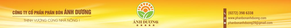 Phân Bón Ánh Dương