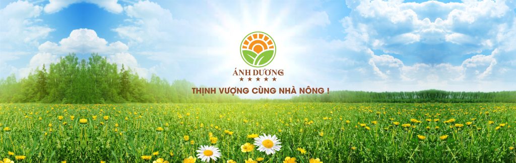 Phân Bón Ánh Dương